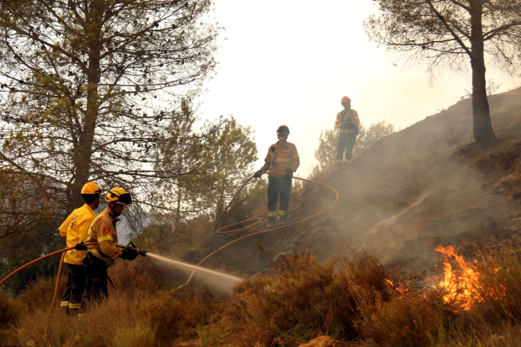 Firefighters trying to put out one of the blazes in the Pont de Vilomara wildfire on July 17, 2022 (by Nia Escolà)